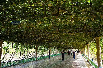 剧本杀谜案推凶！《子归》Steam商店页现已公开